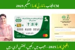 CM Punjab Minority Card Scheme 2025