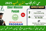 CM Punjab Internship Program