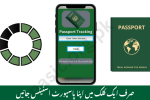 Passport Status Check Online