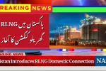 Pakistan RLNG Connection 2025