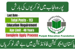 Punjab Education Foundation QAT 2025