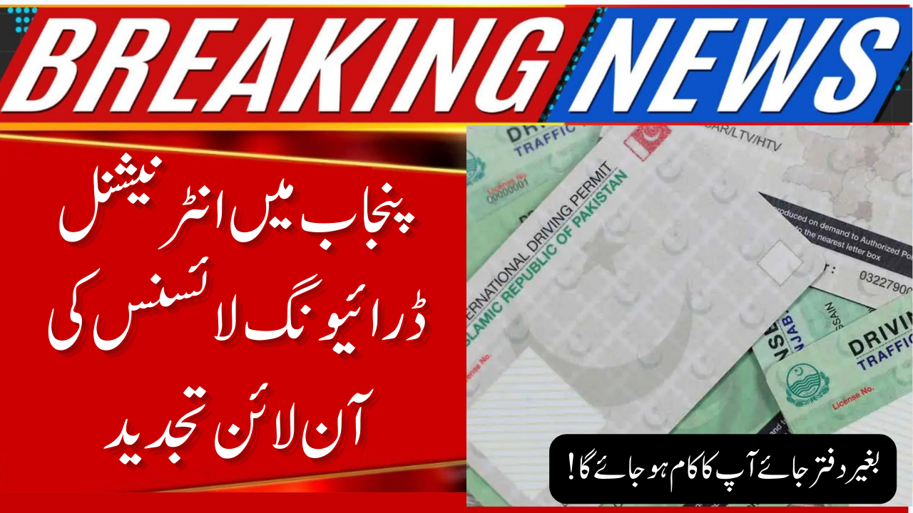 International Driving License Renewal Punjab Made Easy Online