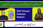BISP Ehsaas Kafaalat
