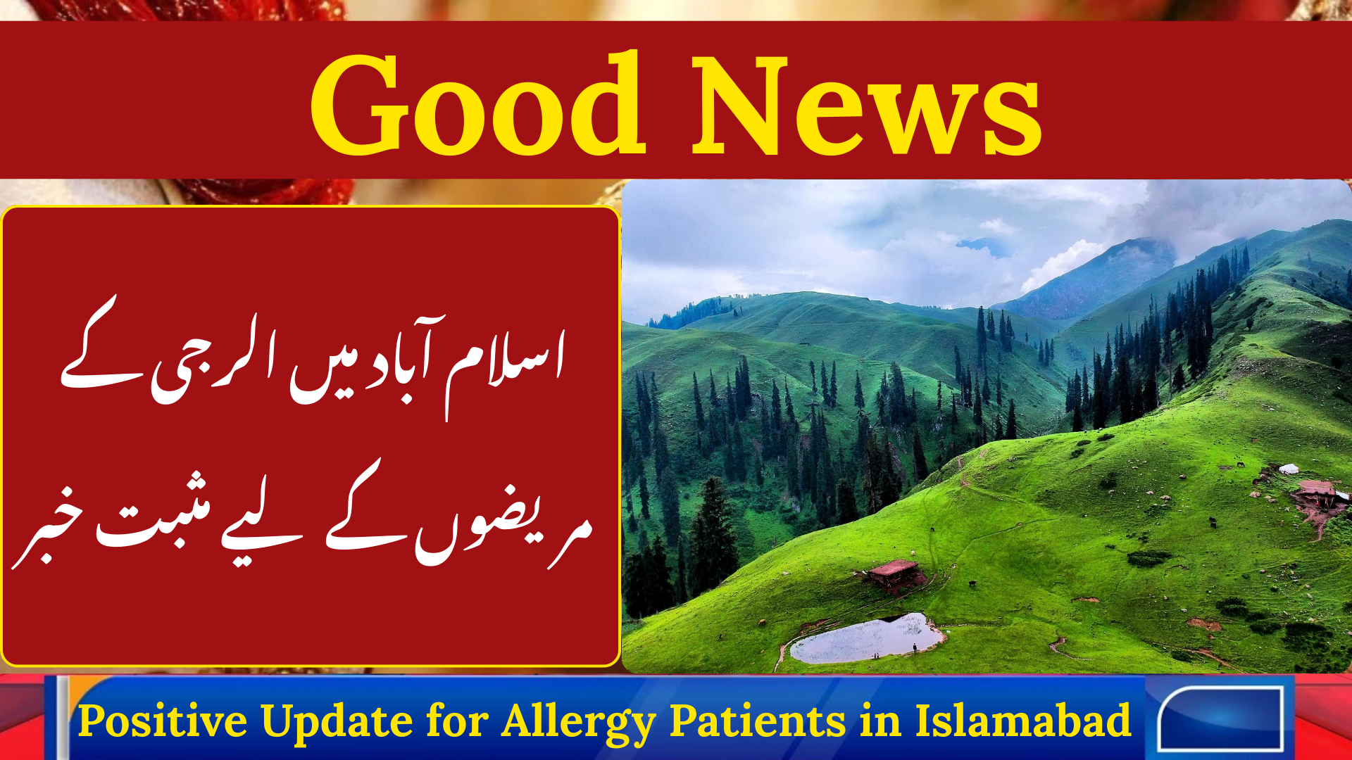Positive Update for Allergy Patients in Islamabad